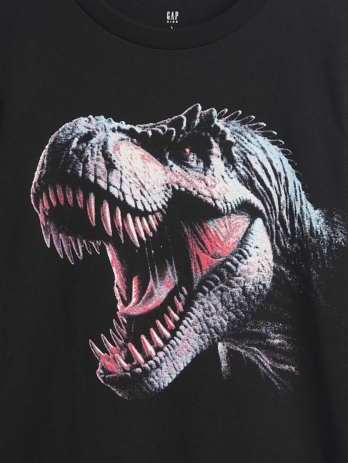 Kids Graphic T-Shirt