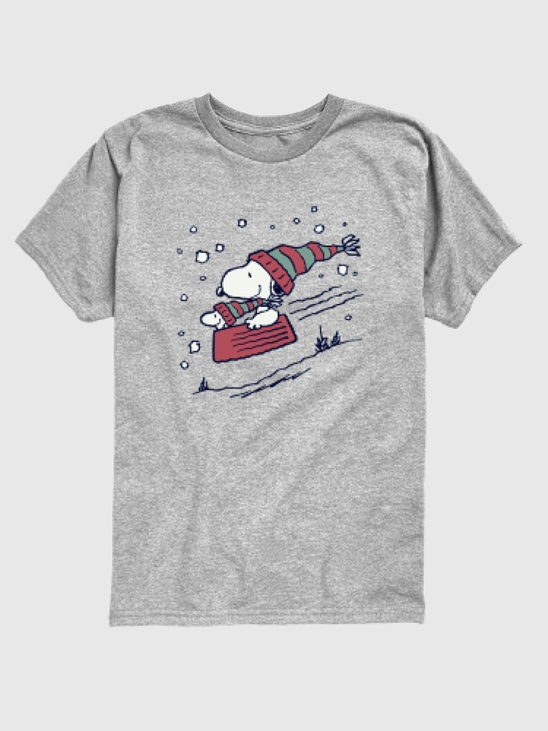 Toddler Peanuts Snoopy Sledding Short Sleeve Graphic Tee