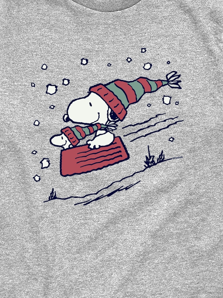 Toddler Peanuts Snoopy Sledding Short Sleeve Graphic Tee