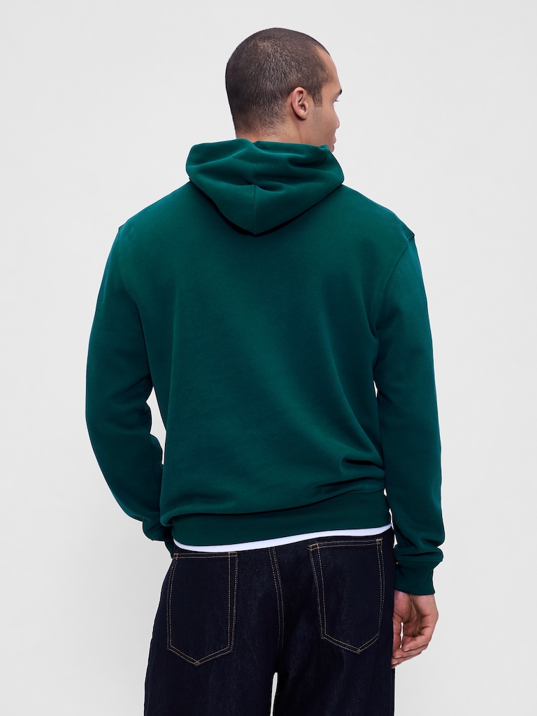 Adult VintageSoft Arch Logo Hoodie