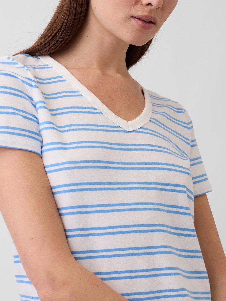 Favorite V-Neck T-Shirt