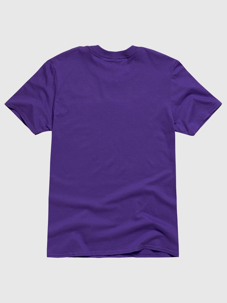 NFL Classic Stripes Graphic Tee