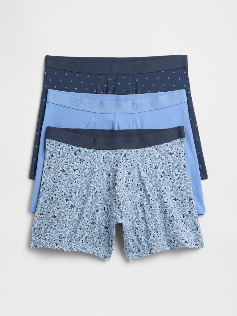 5" Boxer Briefs (3-Pack)