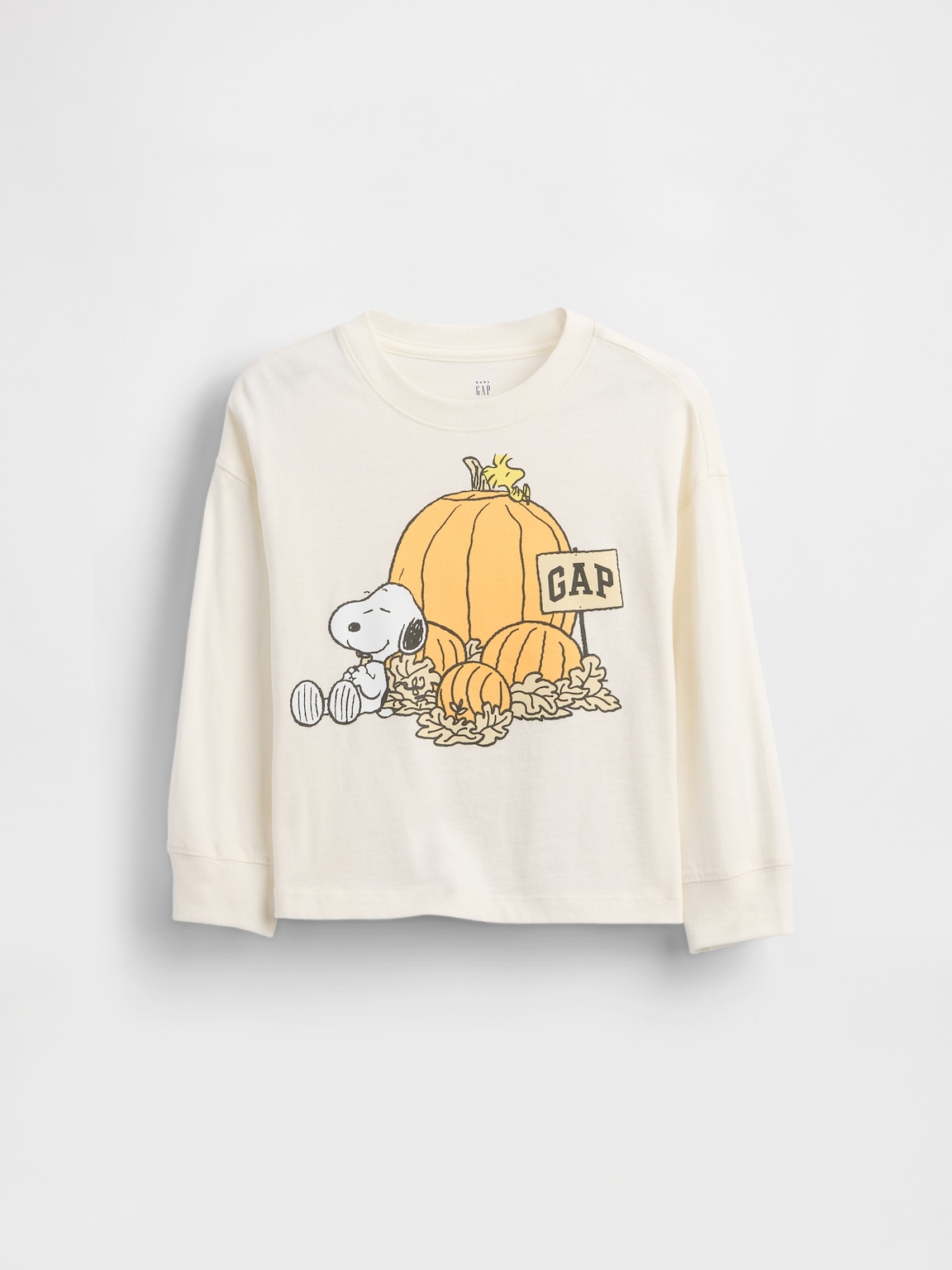 Baby & Toddler Peanuts Thanksgiving Graphic T-Shirt
