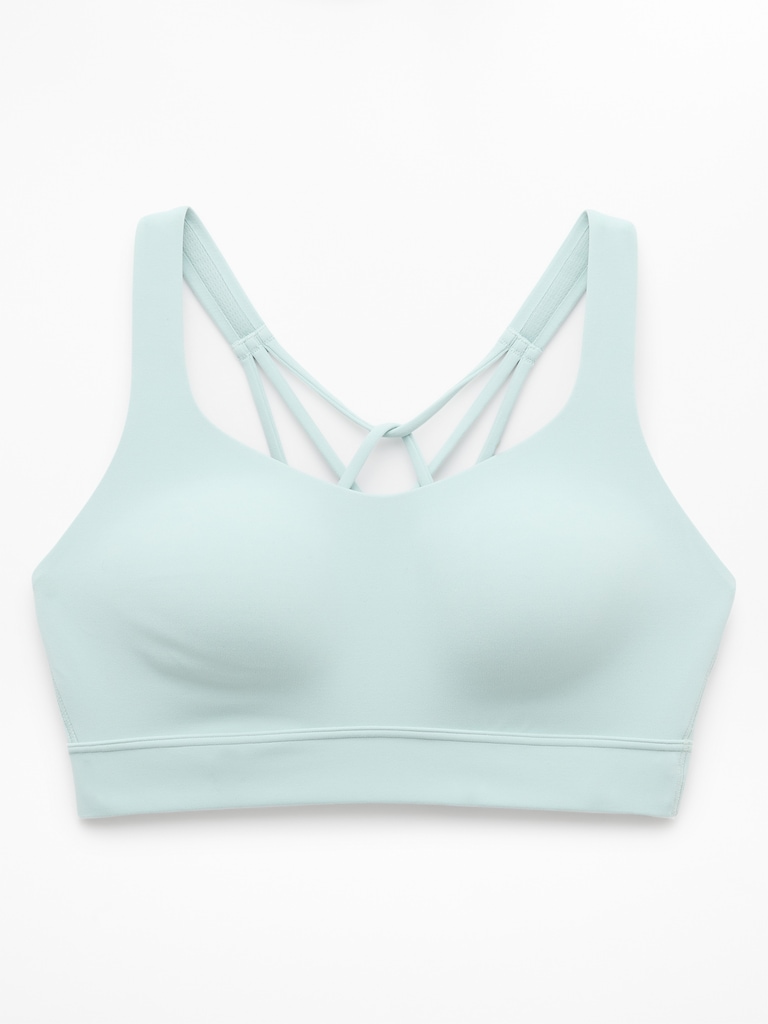 Perfect Form Sports Bra D-DD