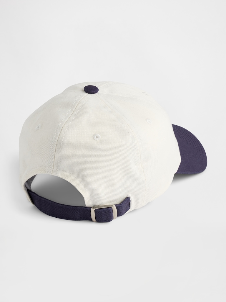 Adult Team USA Baseball Hat