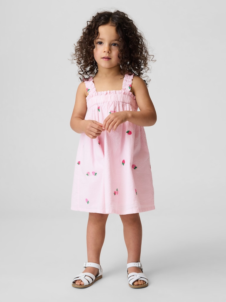 Baby & Toddler Seersucker Embroidered Dress