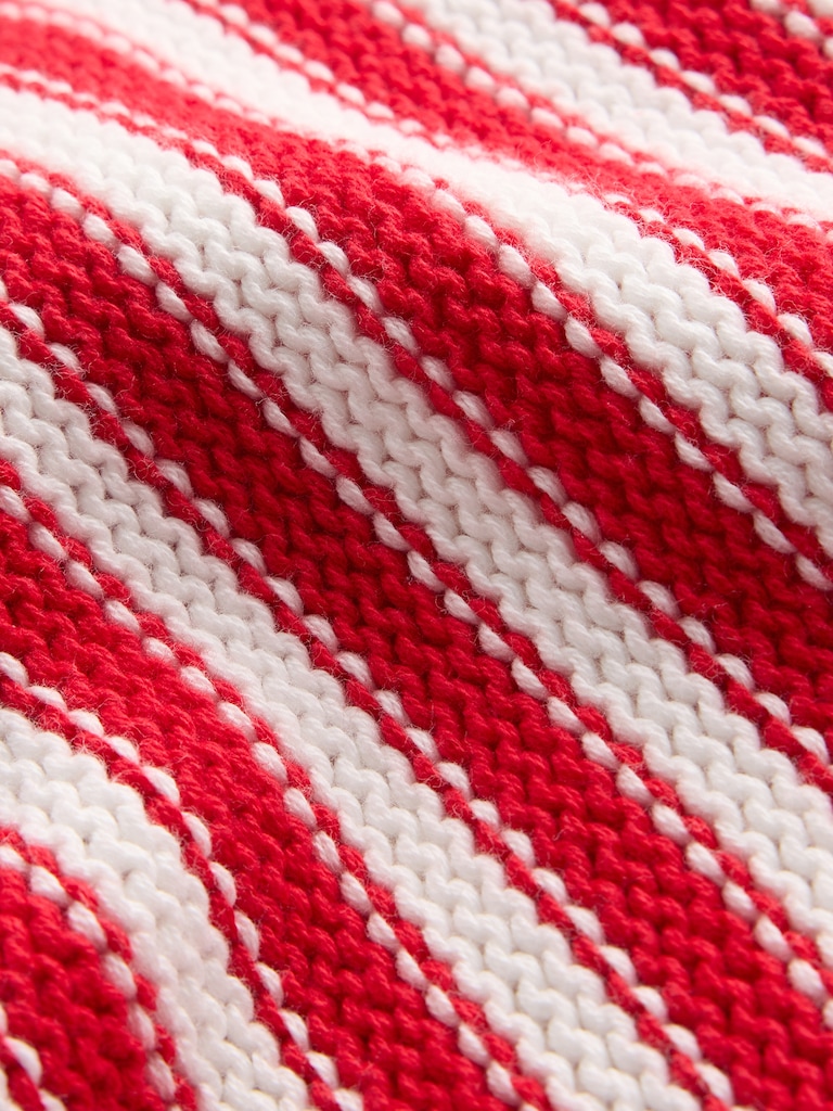 Relaxed Stripe Rollneck Sweater