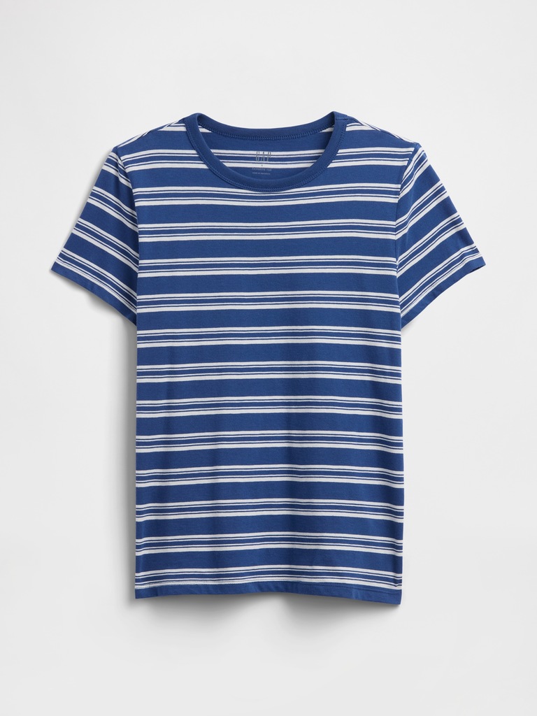 Favorite Stripe Crewneck T-Shirt