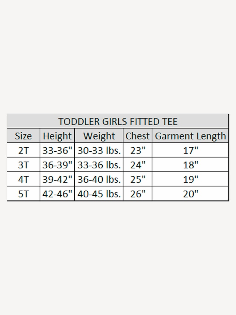 Peanuts Galentines Girls Club Short Sleeve Graphic T-Shirt For Toddler