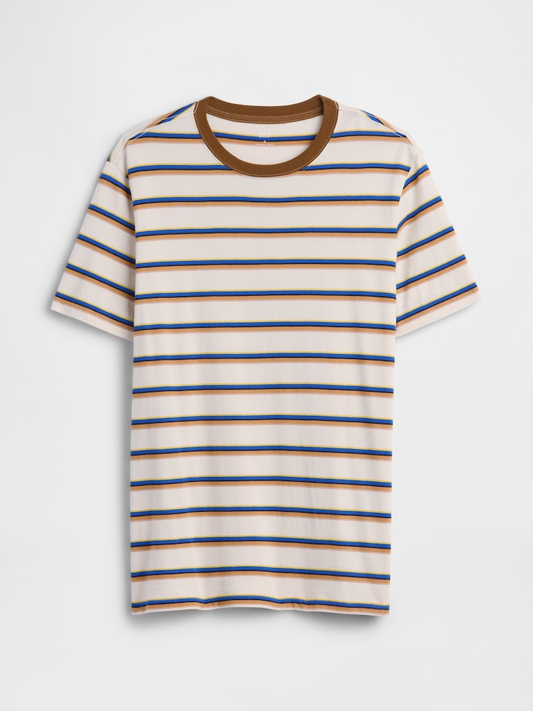 Everyday Soft Stripe Crewneck T-Shirt