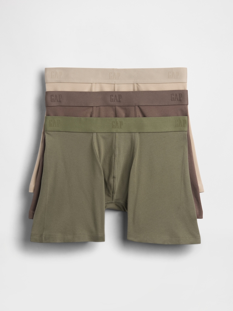 5" Boxer Briefs (3-Pack)