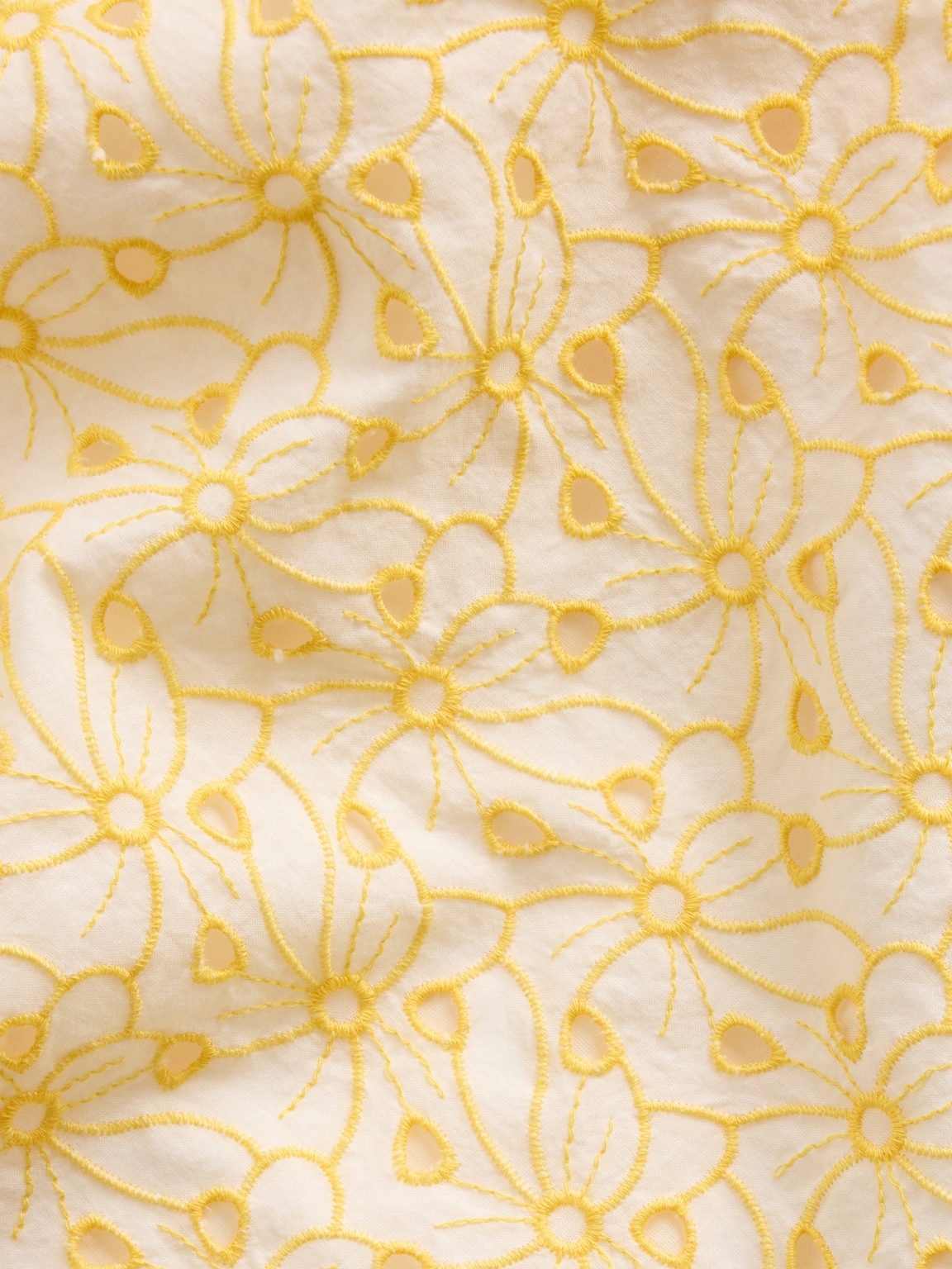 Eyelet Seamed Drop-Waist Maxi Dress