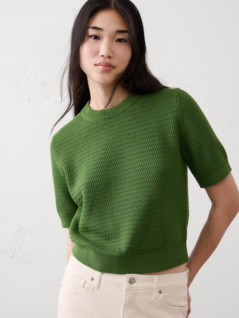 Texture Stitch Cropped Sweater