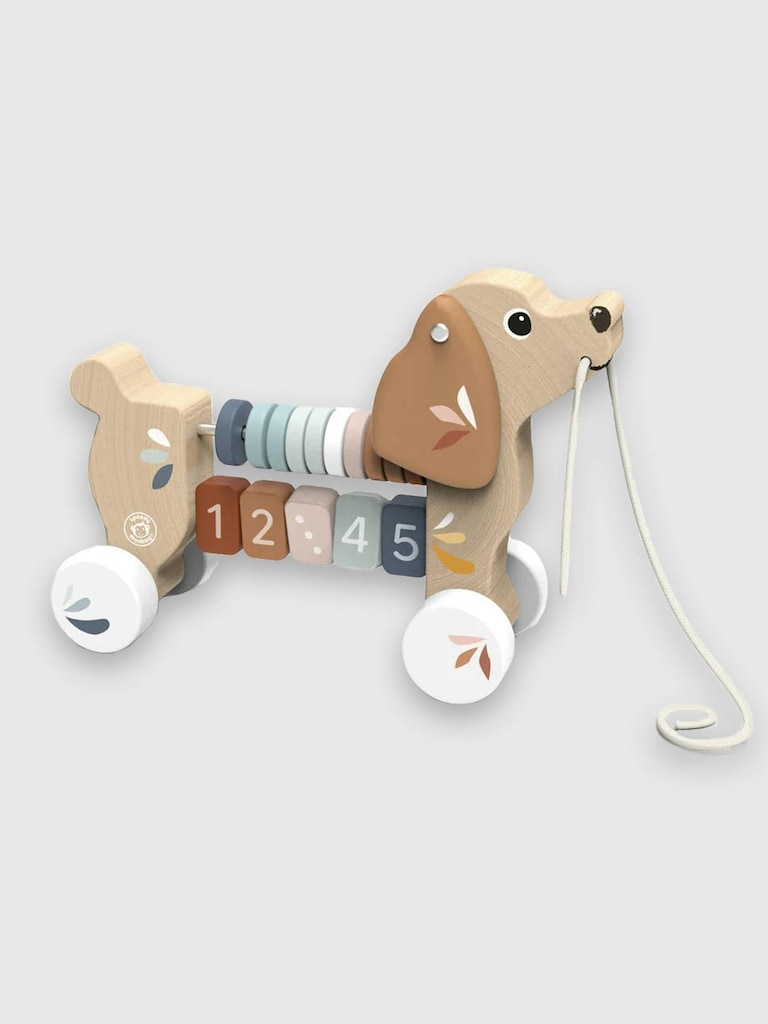 Puppy Pull Along Toy