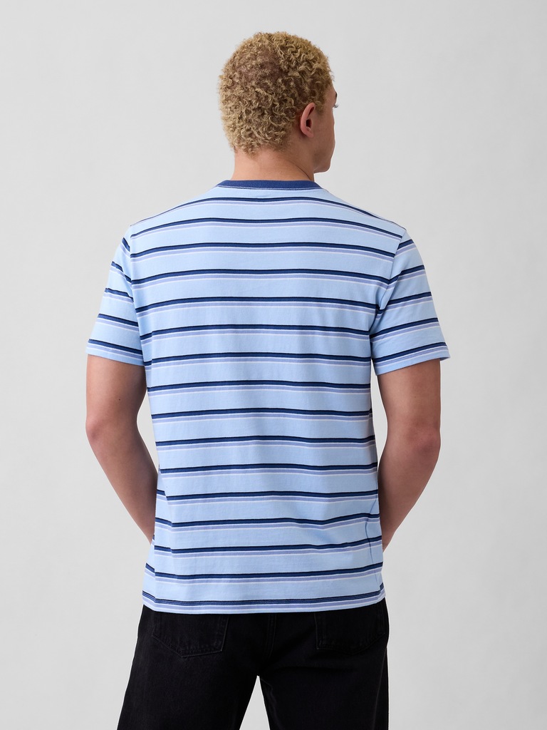 Everyday Soft Stripe Crewneck T-Shirt