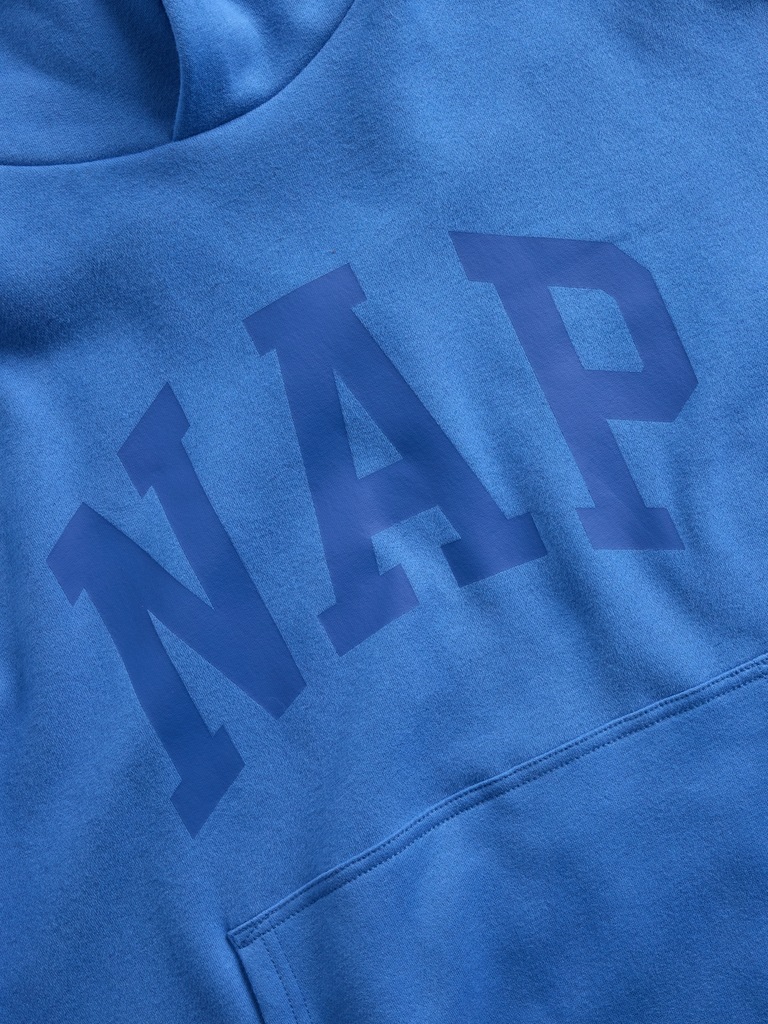 VintageSoft NAP Logo Hoodie