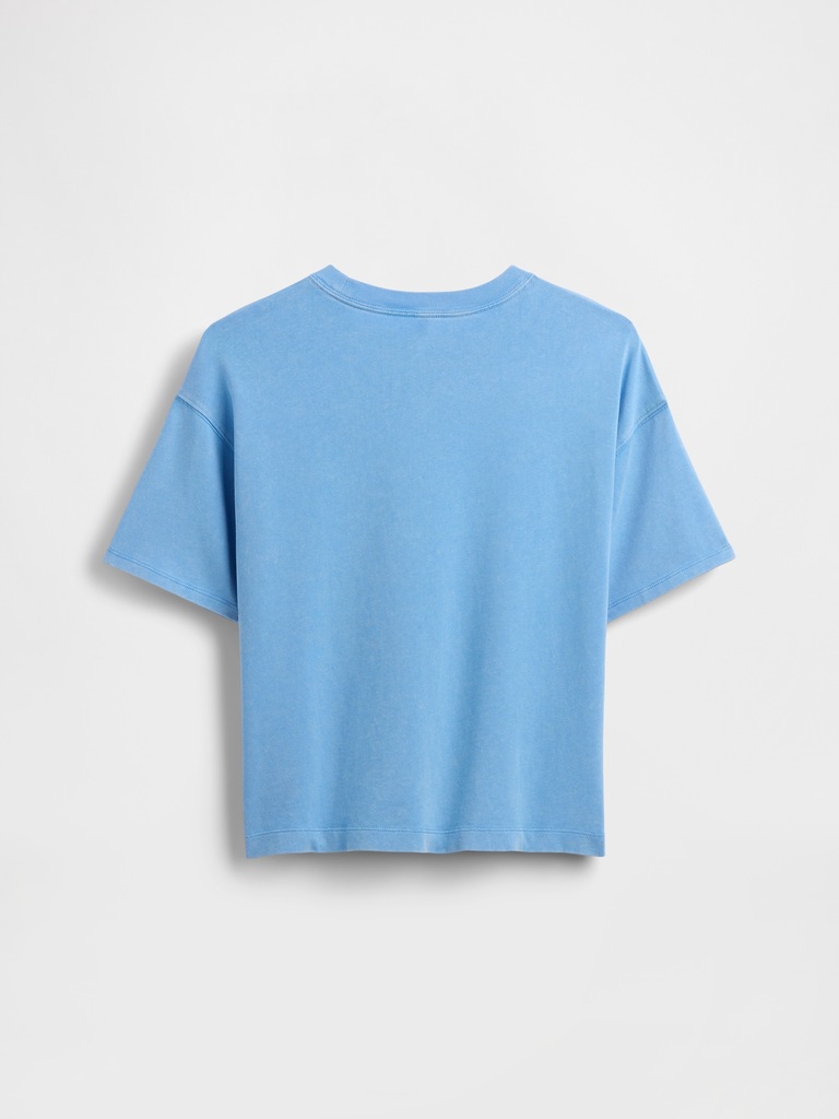 Kids Heavyweight T-Shirt