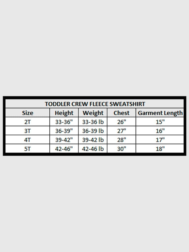 Toddler Disney Zootopia Characters Crew Fleece