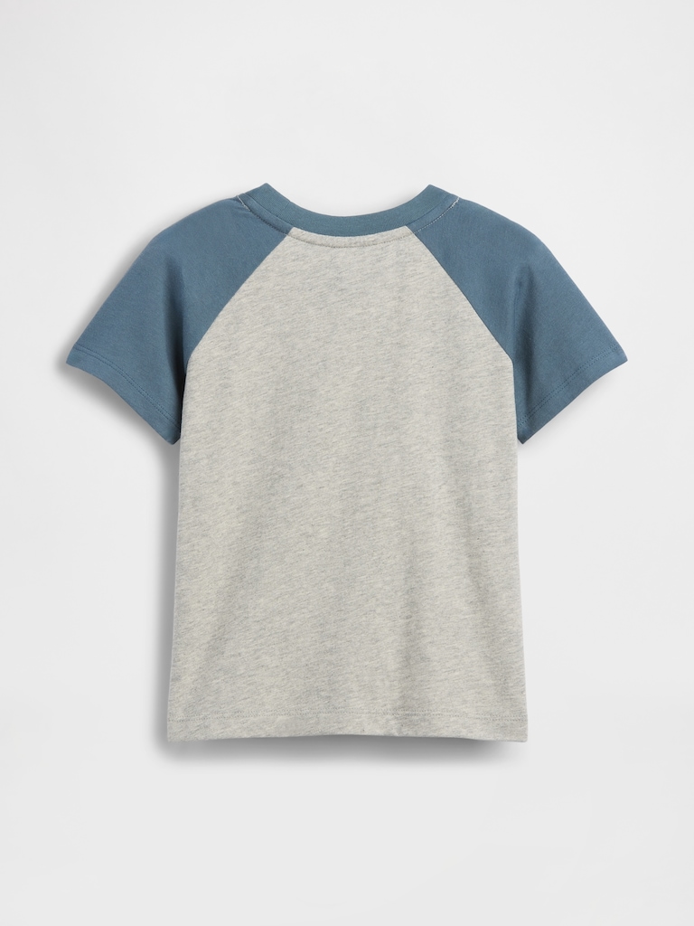 Baby & Toddler Mix & Match Raglan T-Shirt