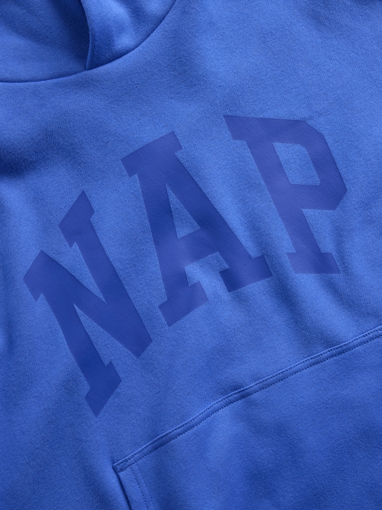 Adult VintageSoft NAP Logo Hoodie