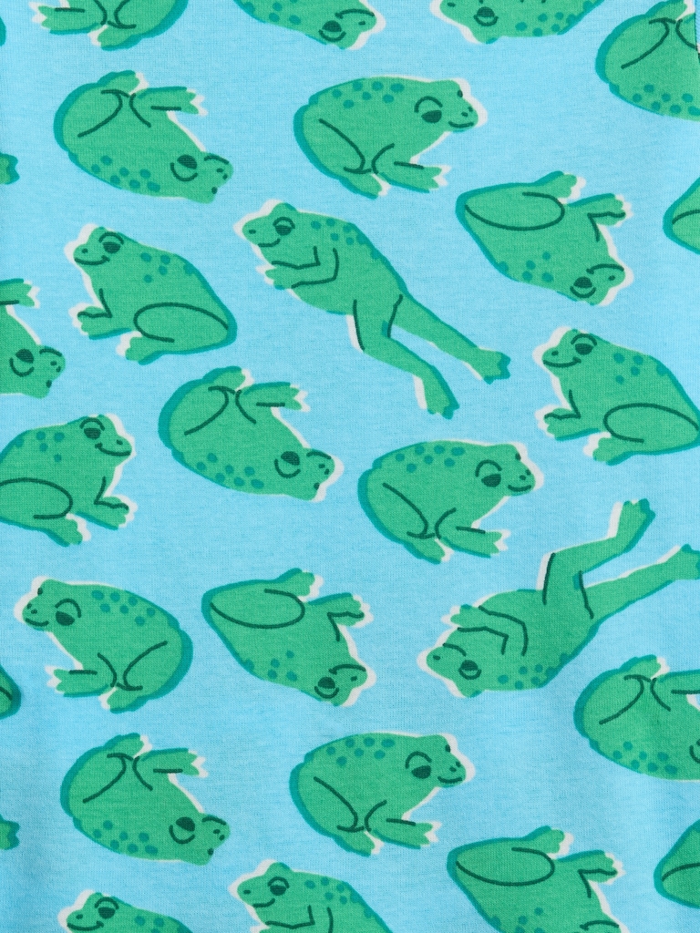 Kids & babyGap 100% Organic Cotton Frog PJ Set
