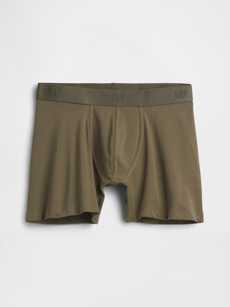 5" Organic Stretch Cotton Boxer Briefs