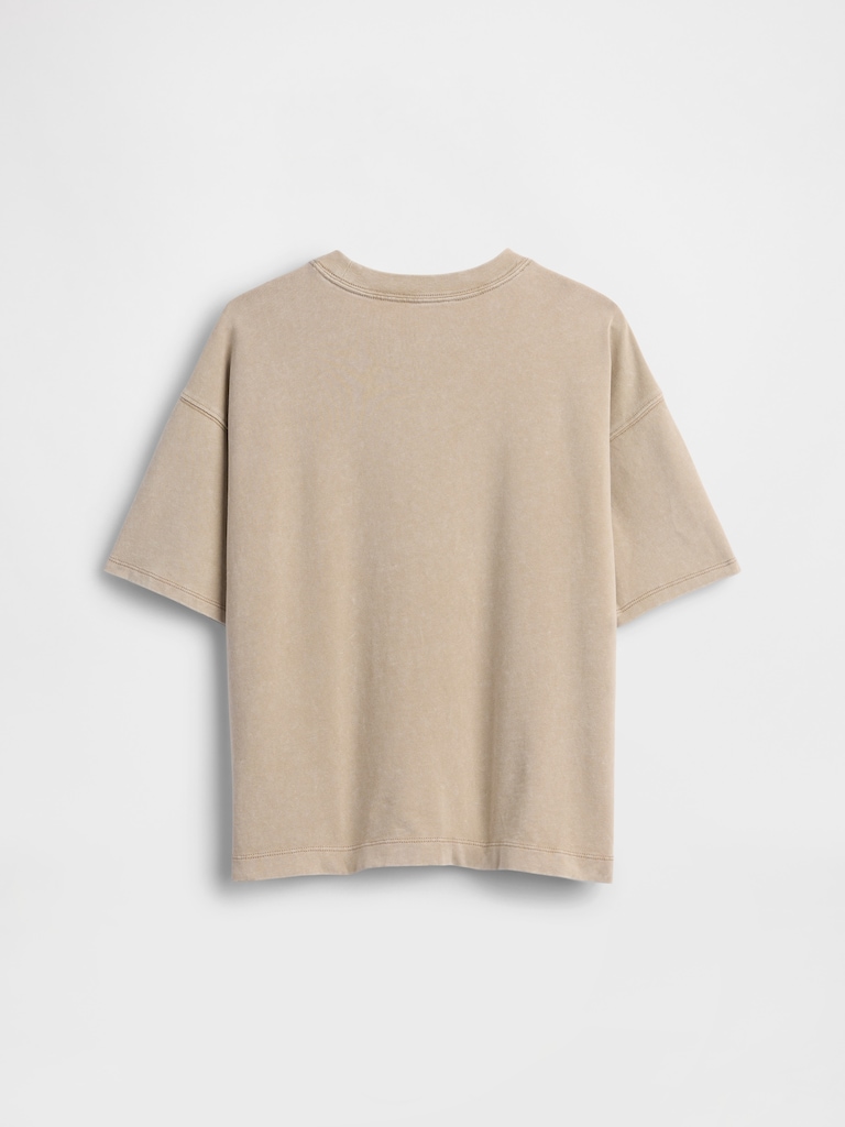 Kids Heavyweight T-Shirt