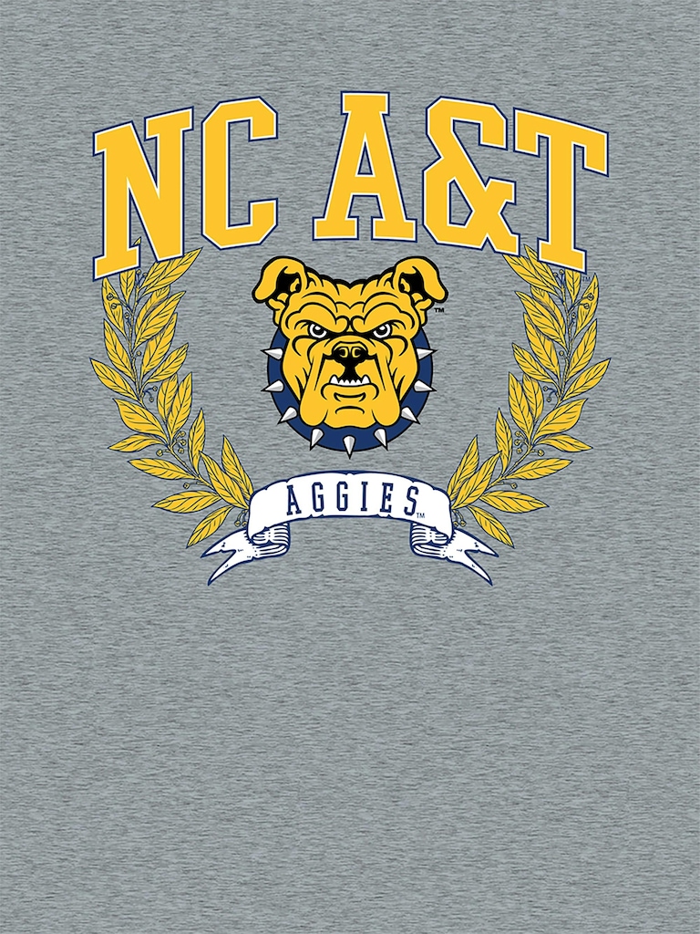 North Carolina A-T State University Laurels Graphic T-Shirt for Boys
