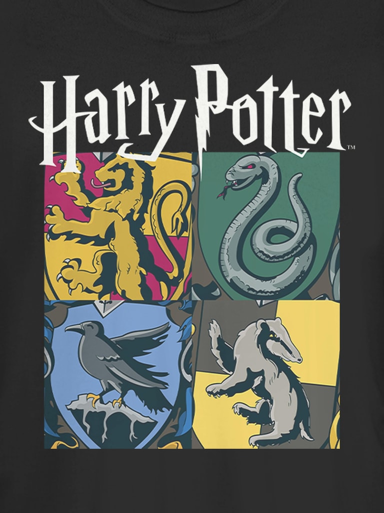 Harry Potter All Houses Graphic T-Shirt