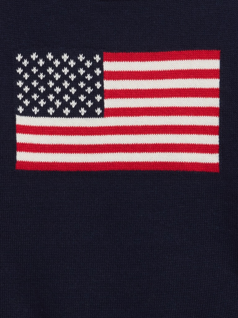 babyGap Americana Crewneck Sweater