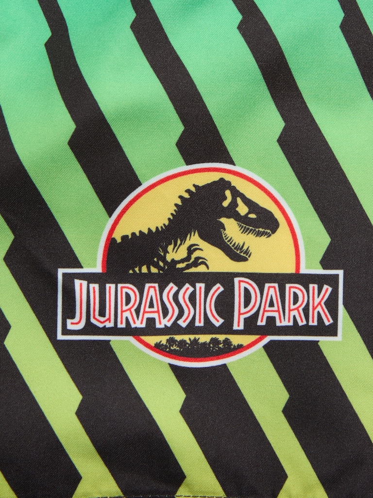 Jurassic Park™ Swim Trunks for Toddler Boys