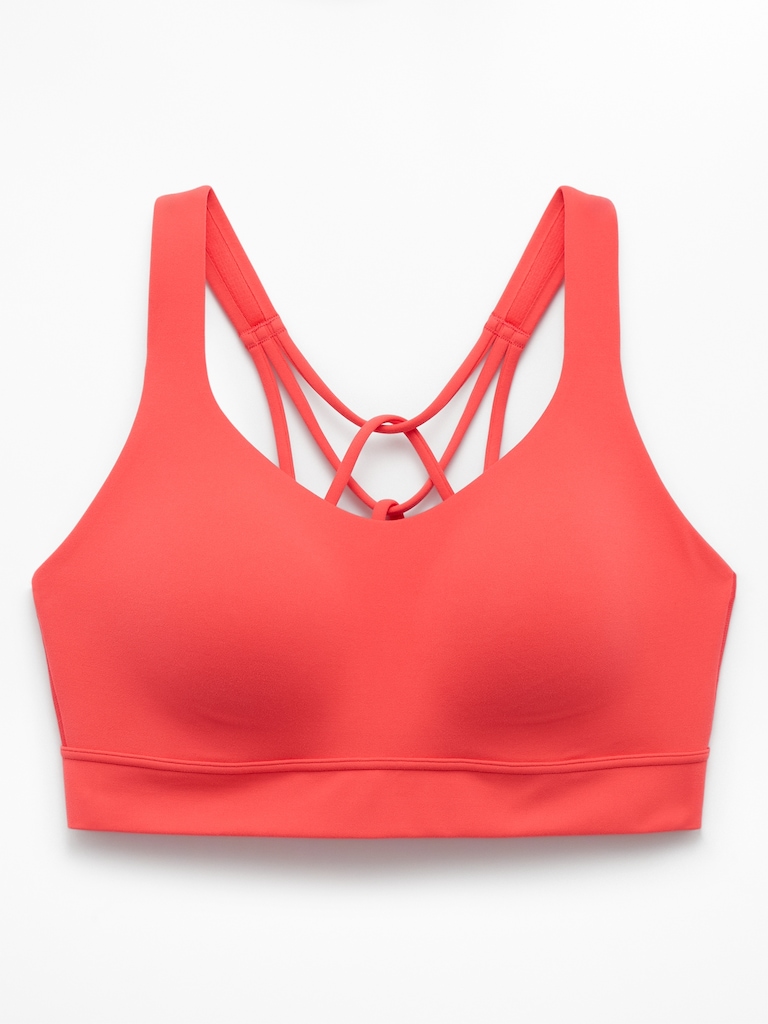 Perfect Form Sports Bra D-DD