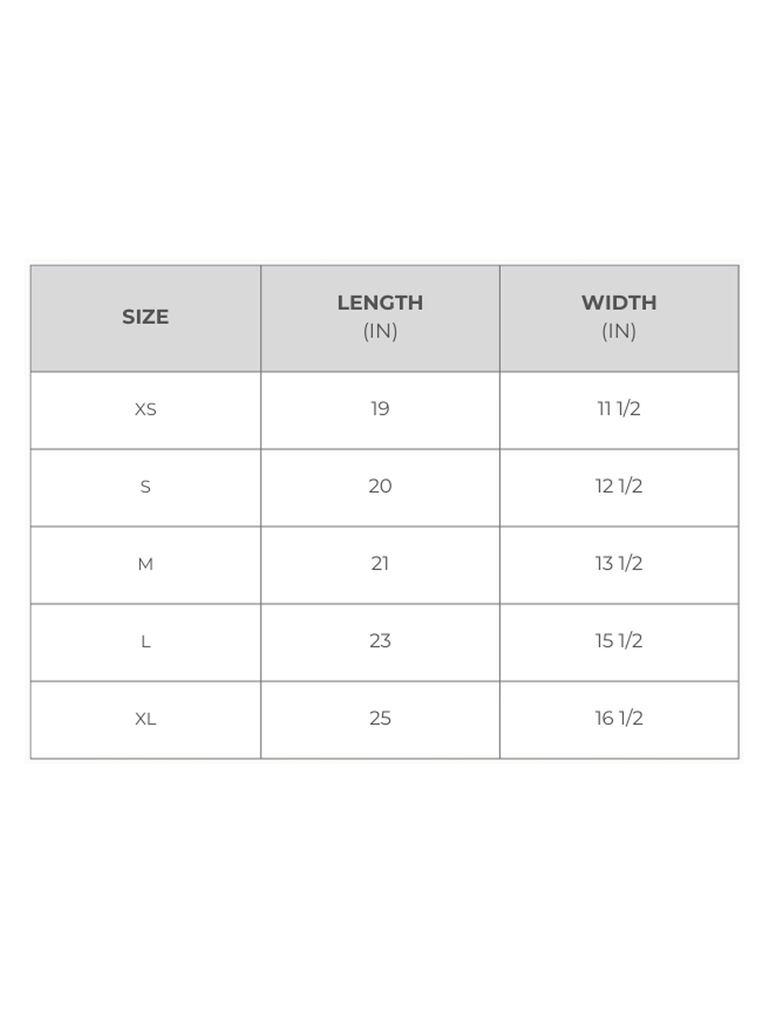 Lizzy McGuire Toon Logo Graphic T-Shirt