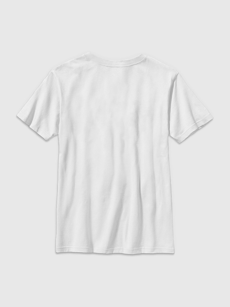 Jeff Gordon Hendrick Motorsports Graphic T-Shirt for Boys