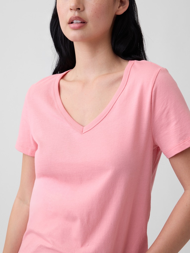 Favorite V-Neck T-Shirt