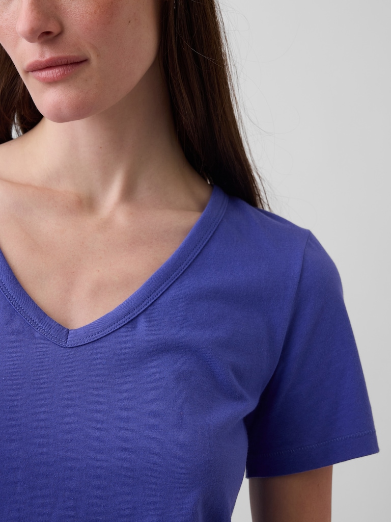 Organic Cotton VintageSoft V-Neck T-Shirt