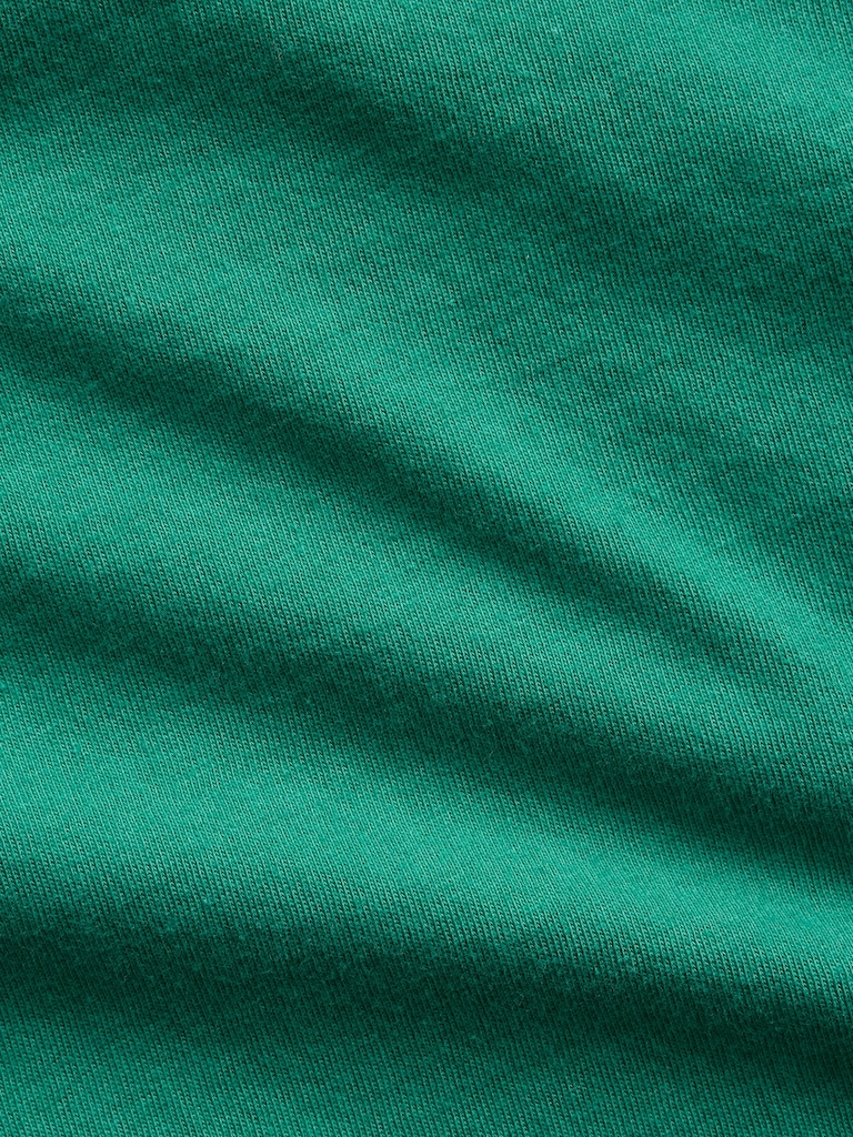 Organic Cotton VintageSoft V-Neck T-Shirt