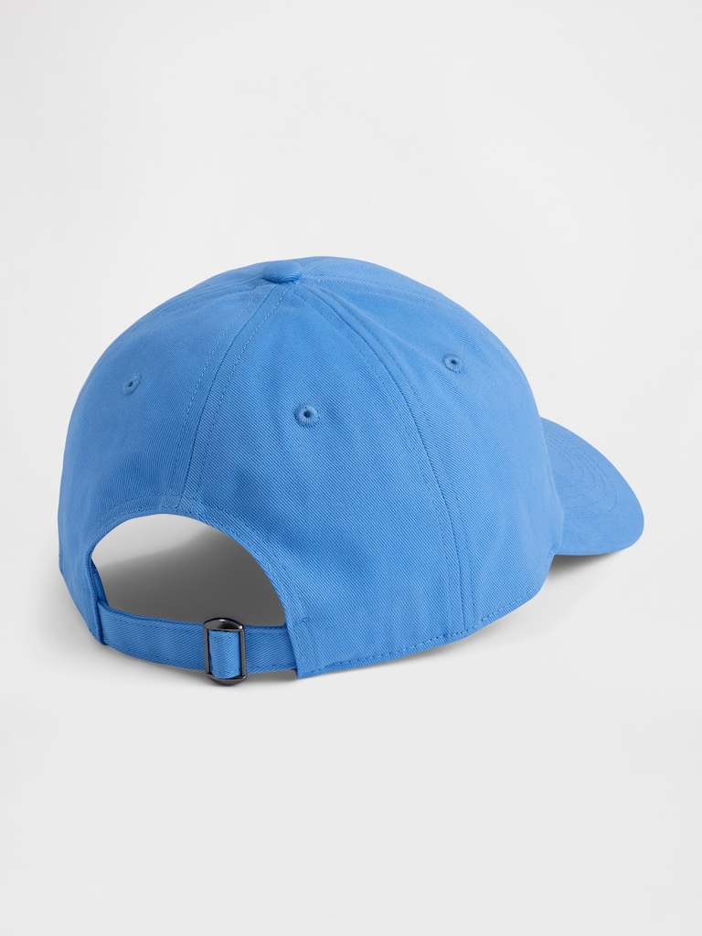 Graphic Baseball Hat