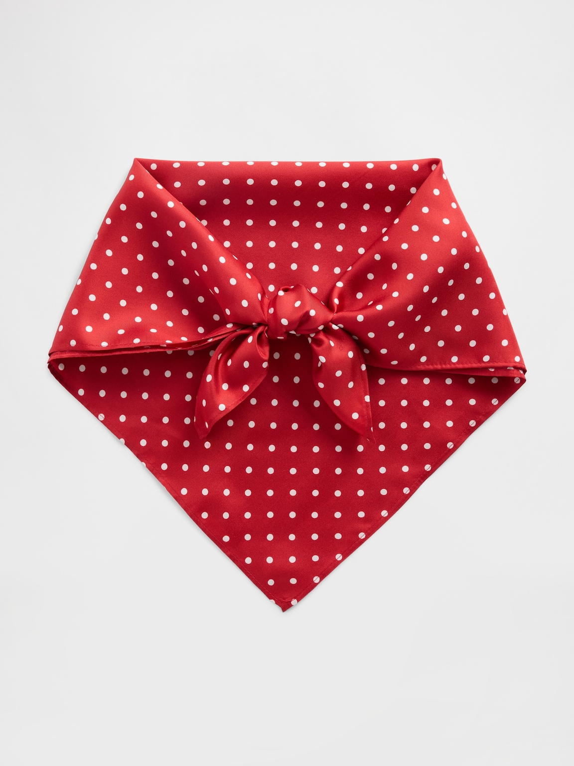 Silk Bandana