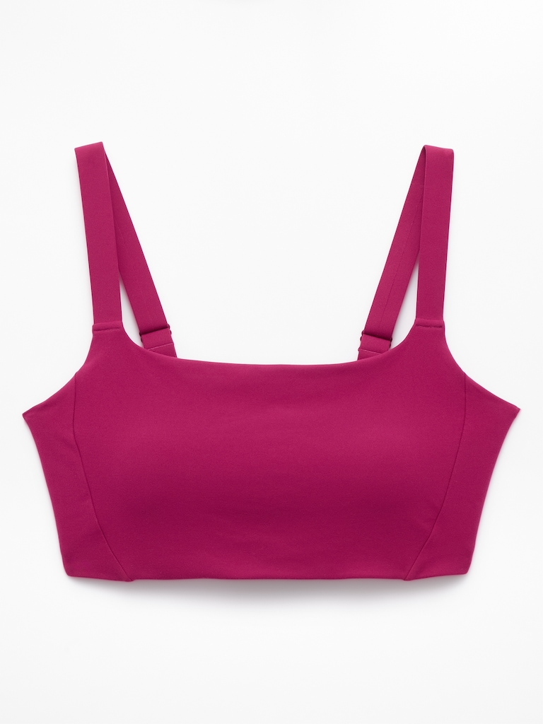 Reform Adjustable Sports Bra D-DD