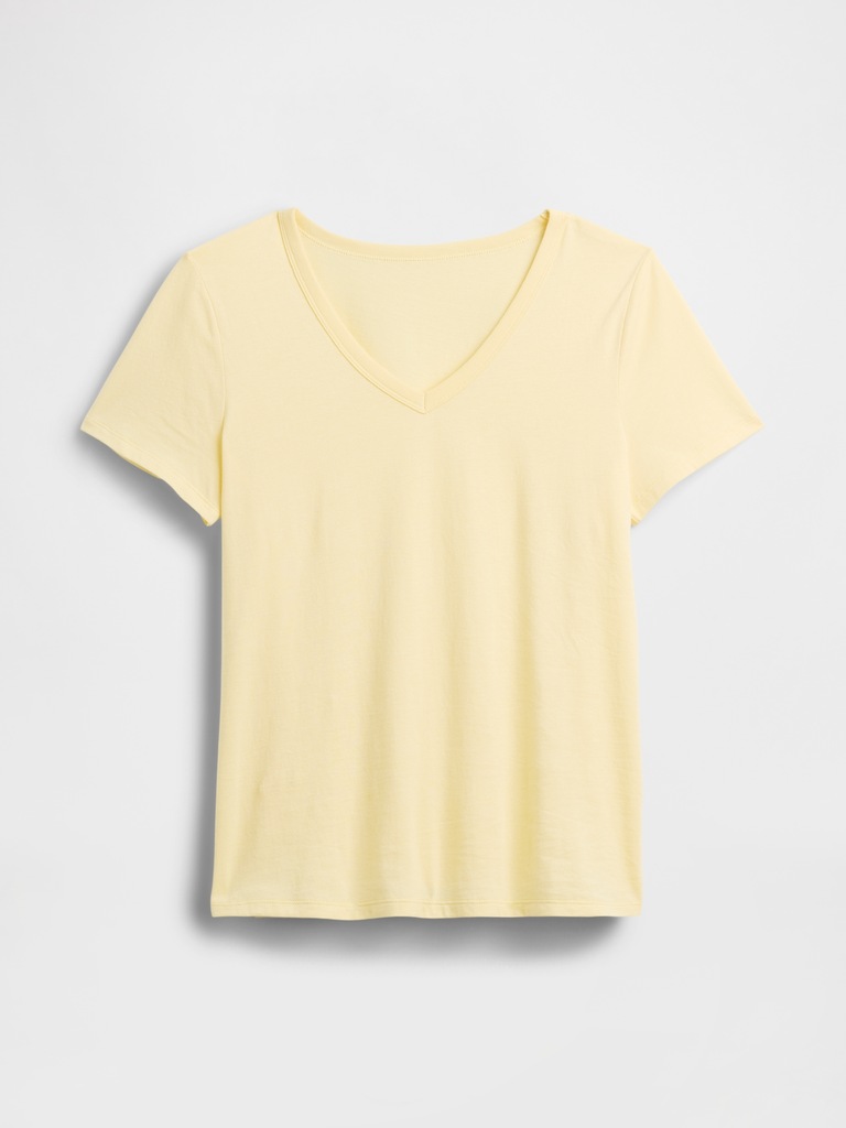 Favorite V-Neck T-Shirt