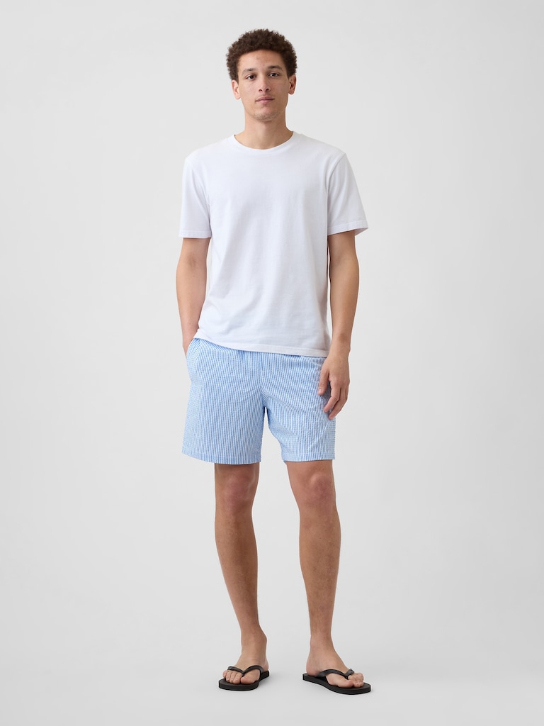 6" Seersucker Swim Trunks