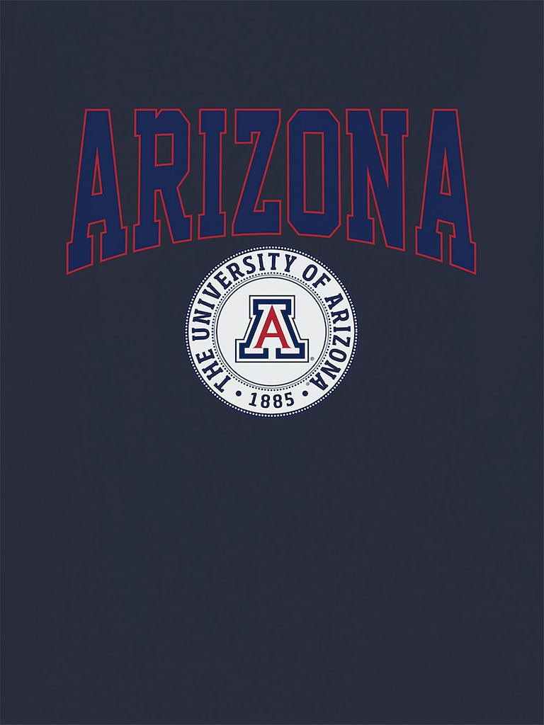 University of Arizona Collegiate Seal Dark Graphic T-Shirt for Men