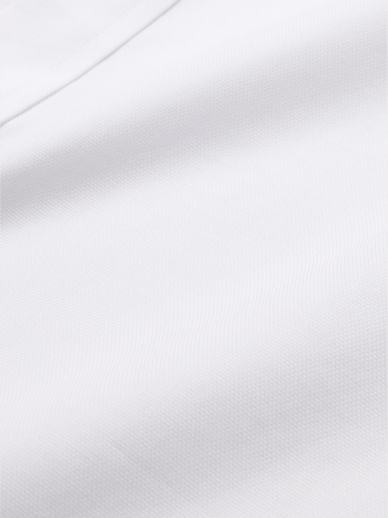 Standard-Fit Wrinkle-Resistant Dress Shirt
