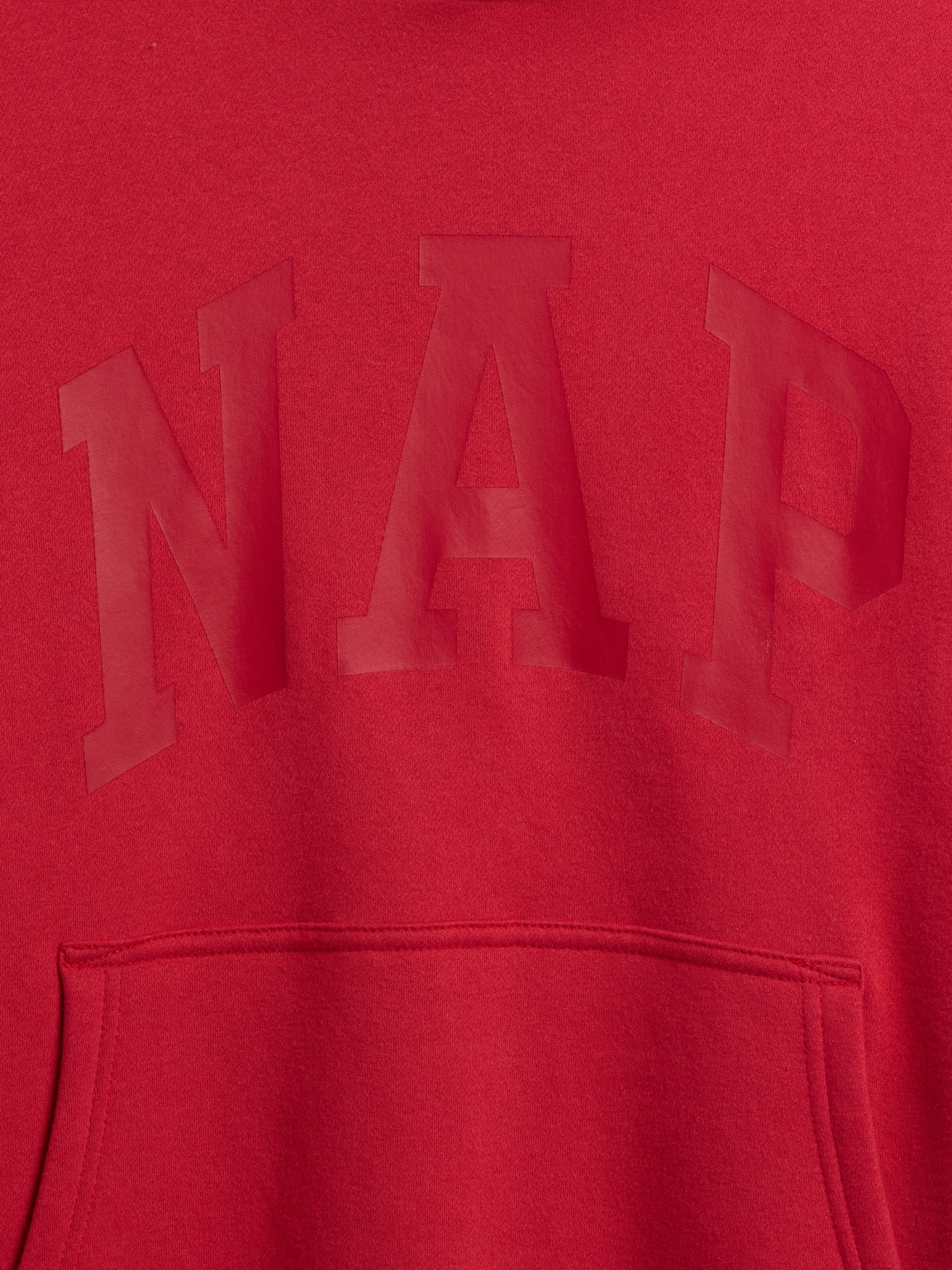 Adult VintageSoft NAP Logo Hoodie