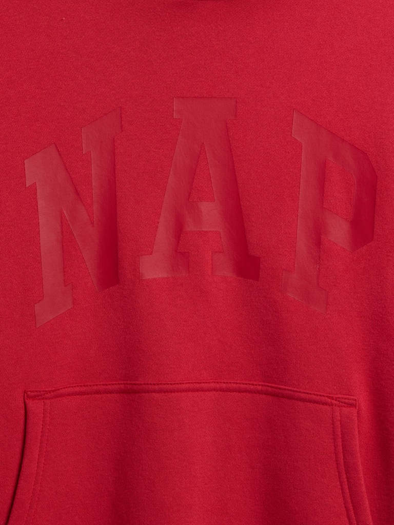 Adult VintageSoft NAP Logo Hoodie