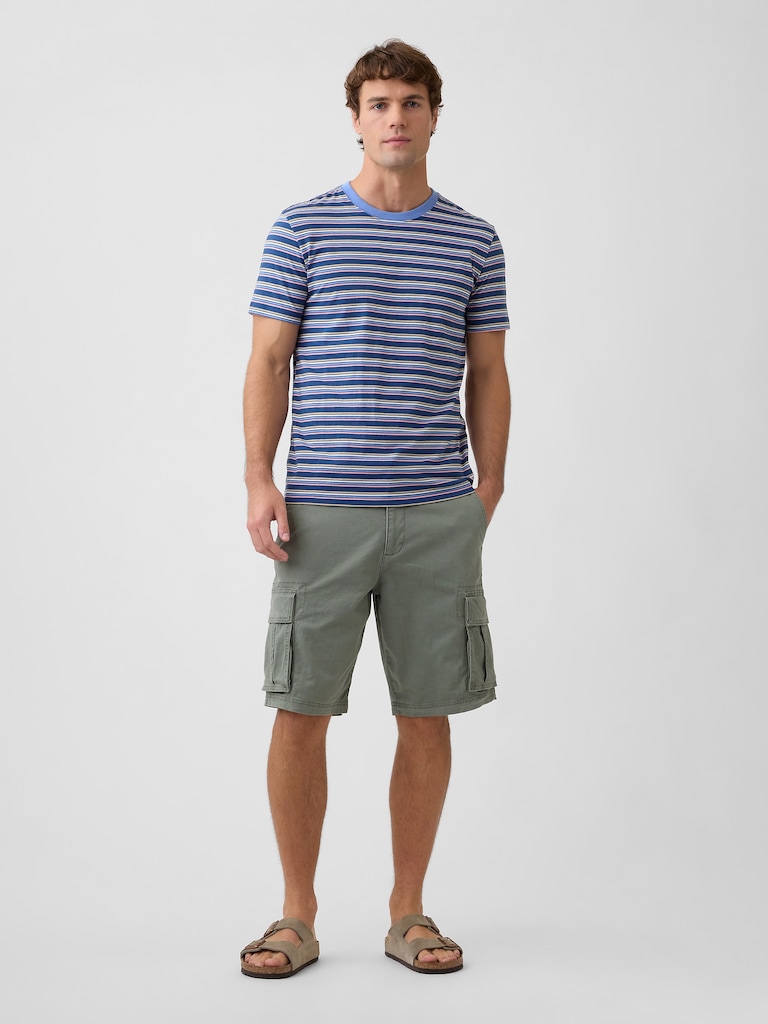 Everyday Soft Stripe Crewneck T-Shirt