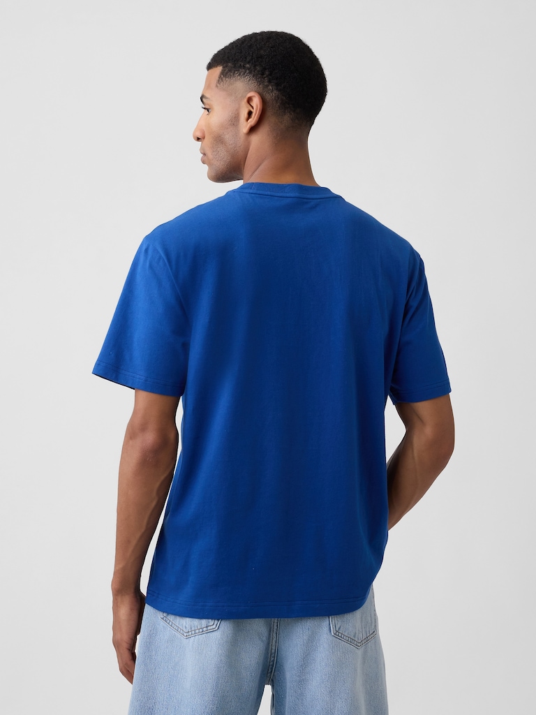 Everyday Soft Relaxed USA Graphic T-Shirt