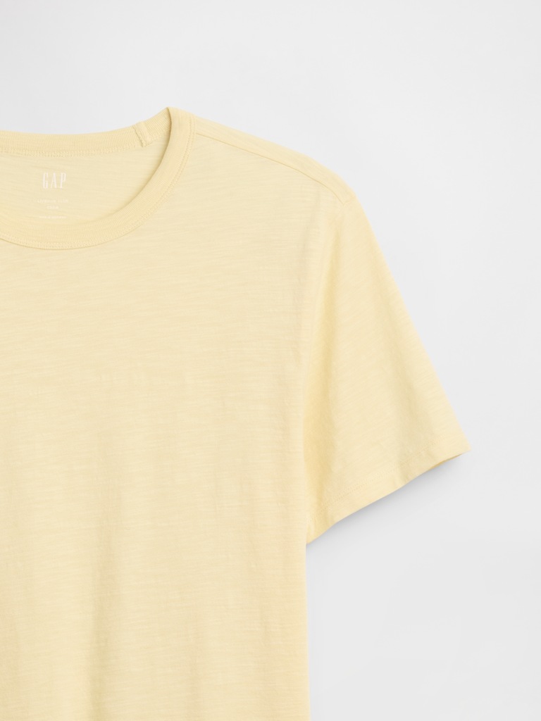 Lived-In Crewneck T-Shirt